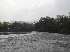 SAM_2471