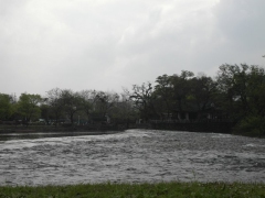 SAM_2472