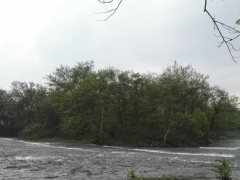 SAM_2475