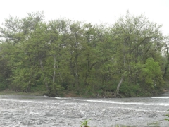 SAM_2476