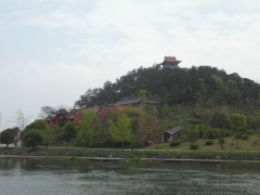 SAM_2479