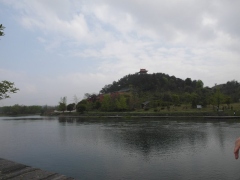 SAM_2480