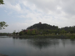 SAM_2481