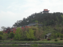 SAM_2482