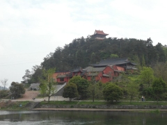 SAM_2484