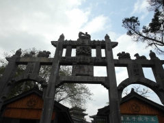 SAM_2507