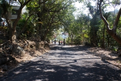 dsc06835