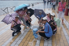 dsc09216