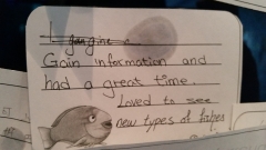 20141214_110426