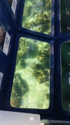 20141214_112554