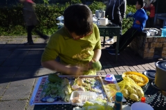 dsc00910