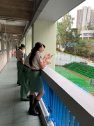 whatsapp-image-2019-03-04-at-13-16-48-1