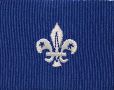 DistrictSectionalScoutLeader